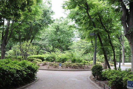 Centraal Park van Shinjuku